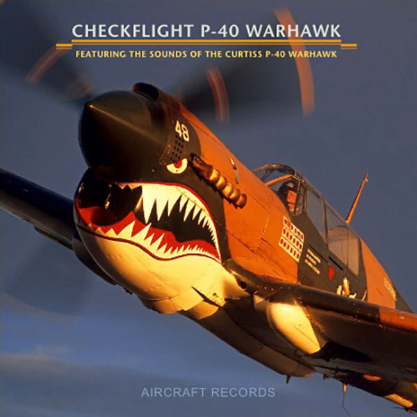 Checkflight P-40 Warhawk