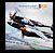 CheckFlight P-38